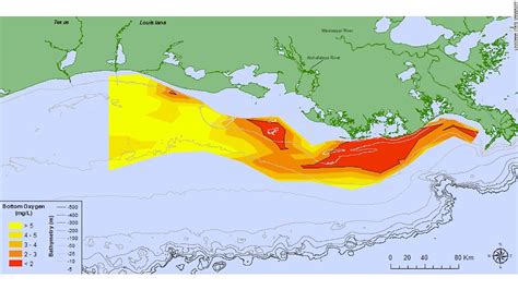 Gulf Dead Zone Was Expected To Be A Record Breaker A Hurricane May