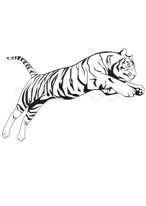 Tiger Leaping Drawing