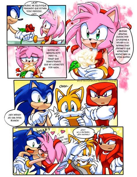 Pin By Peta On Cartuoon Anime Superhéroes Sonic And Amy Sonic Fan