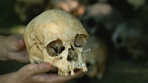 Museum Fire May Have Destroyed Western Hemisphere's Oldest Known Human ...
