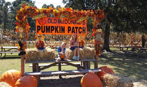Fall Festival At Old Macdonalds Farm In Humble Texas
