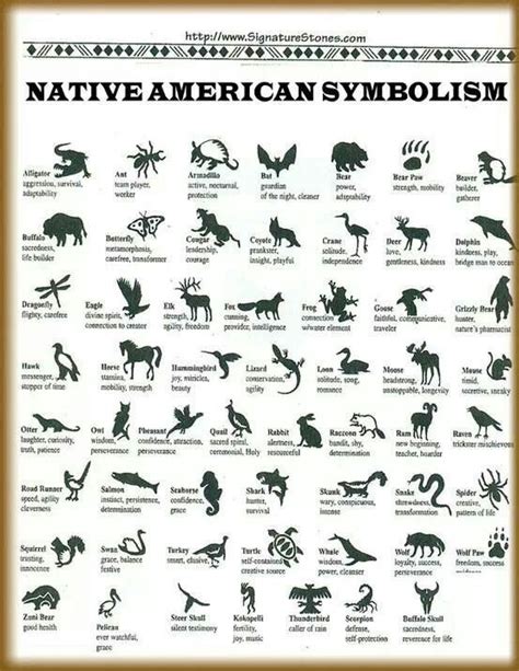 Cherokee Signs Native American Symbols Native American Animals