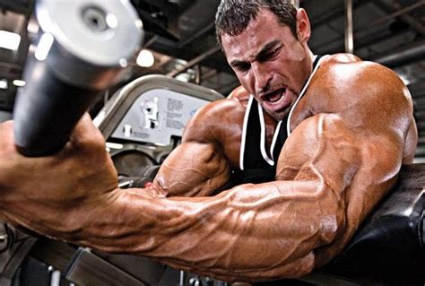 Muscle Building Steroids For Men Strength And Steroids Blog