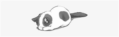 Cute Anime Cat Transparent 442226 Black And White Anime