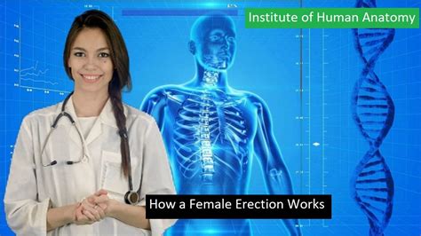 How A Female Erection Works Europe Medical Healthcare Academy