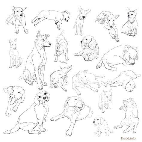 41 ausmalbilder suse tiere best coloring. Ausmalbilder mit Hunden | Hunde