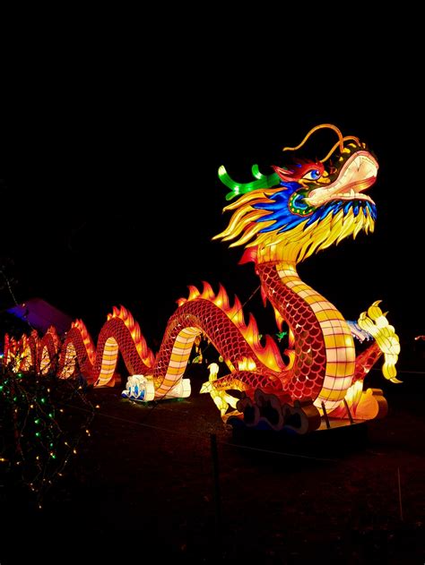 Welcome to golden dragon chinese 金龍. 100+ Chinese New Year Pictures | Download Free Images on ...