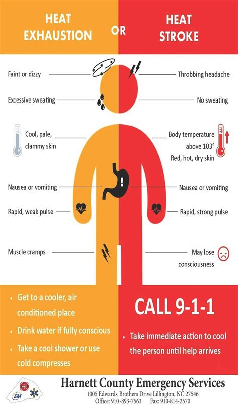 Heat Exhaustion Vs Heat Stroke Symptoms Heatfag