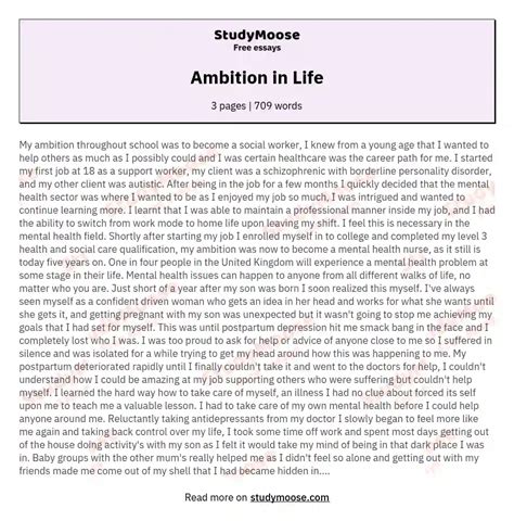 Ambition In Life Free Essay Example