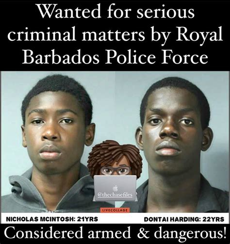 the chase files the royal barbados police force is again