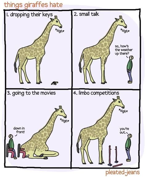 Giraffe Humor Funny Animal Memes Funny Animals Funny Memes Animal