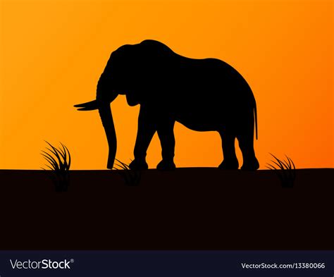 Silhouette Elephant On Background Sunset Vector Image