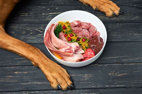 Raw Food Diet For Dogs Petstock Nz Blog
