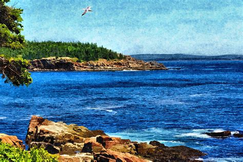 Rocky Maine Coastline 1 Photograph By John Trommer Fine Art America