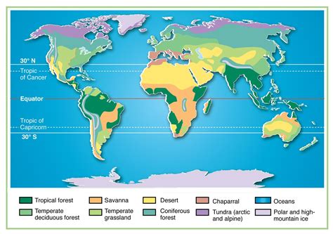 Tropical Rainforest Biome World Map