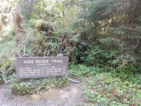 Hoh River Trail Olympic Np Oregon Hikers
