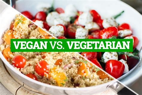 The Difference Between Vegan and Vegetarian (No They Aren't … | Top Richest
