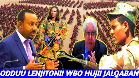 Odduu Amee Kabaa Oromia Walloo Lolaa Irati Bonamee Nama Hedun Ajefame