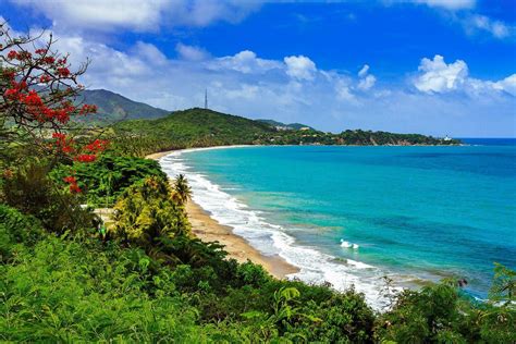 Paisajes De Playas De Puerto Rico
