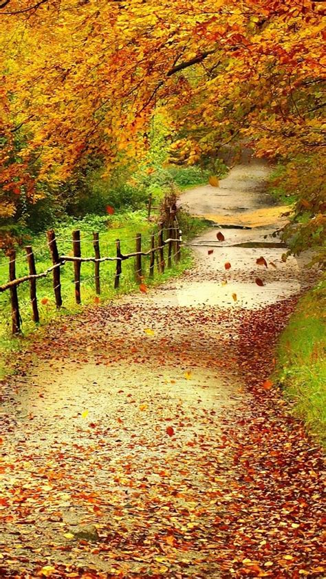 Free Download Beautiful Path Nature Iphone Wallpaper 640x1136 For