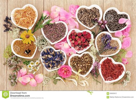 There are many meanings for flowers. Healing Herbs And Flowers Stock Photo - Image: 63003912