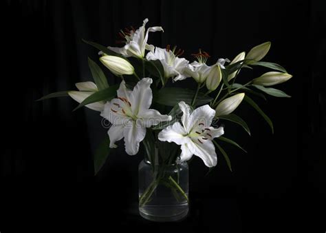Bouquet Of White Lilies Stock Photo Image Of Garden 238340832