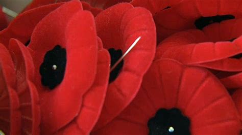 Why Do We Wear A Poppy On Remembrance Day Ctv News