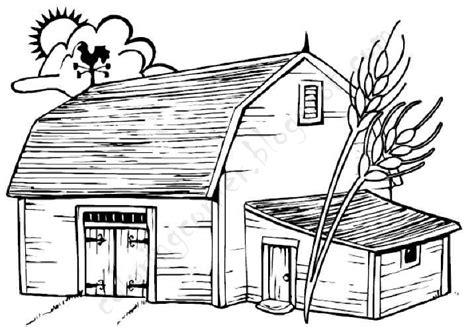 A group of lambs and birds: Barn Coloring Pages