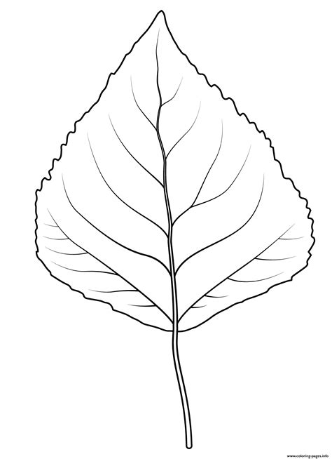 Aspen Tree Pages Printable Coloring Pages