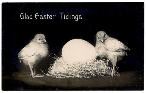 Vintage Easter Clip Art Chicks With Nest The Graphics Fairy