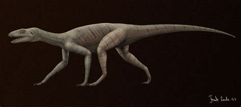 Silesaurus Opolensis By Frank Lode On Deviantart