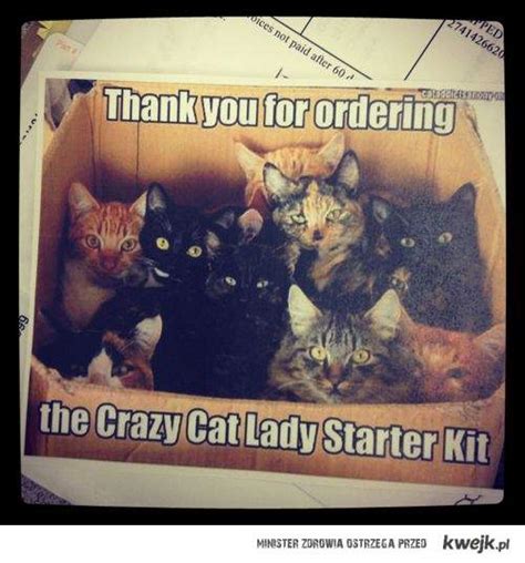 Crazy Cat Lady Starter Kit Ministerstwo śmiesznych Obrazków Kwejkpl