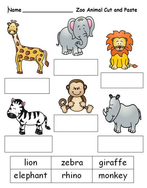 zoo animals worksheet for primary grade 1 2