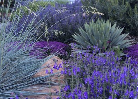 Xeriscape Design And Landscaping Home