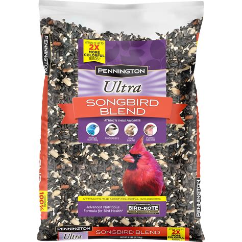 Pennington Ultra Songbird Blend Wild Bird Feed And Seed 6 Lb Bag