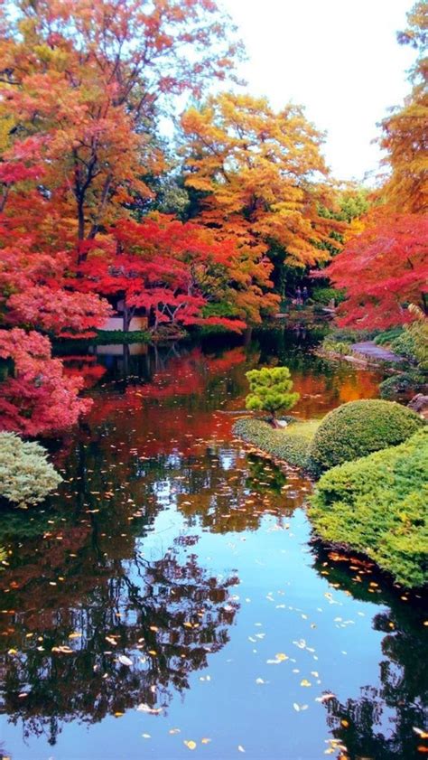 Cool 80 Stunning Japanese Garden Ideas Plants You Will Love Пейзаж