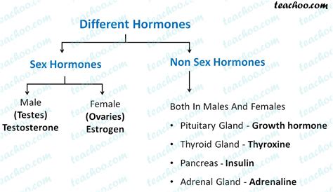 What Are The Different Sex And Non Sex Hormones Teachoo