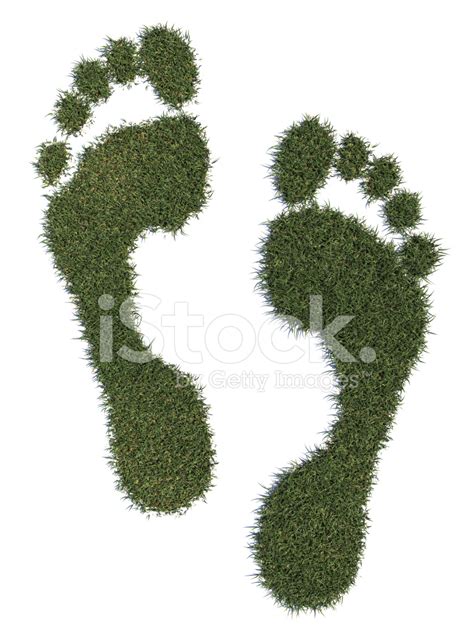 Grass Footprints Stock Photo Royalty Free Freeimages