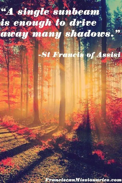 St Francis Quotes On Nature Quotesgram