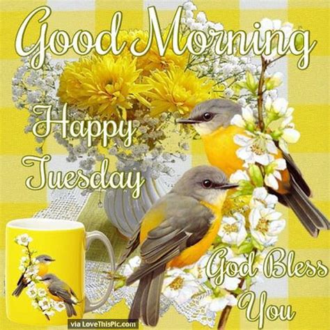 Good Morning Have A Happy Tuesday God Bless You Pictures Photos And