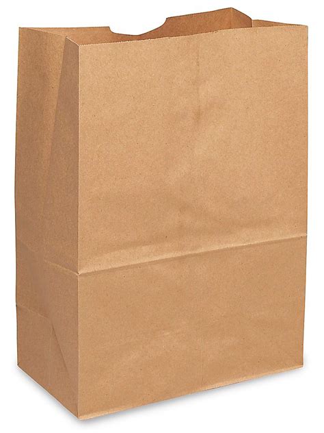 Large Kraft Brown Paper Grocery Bags 100 Count 52 Lb