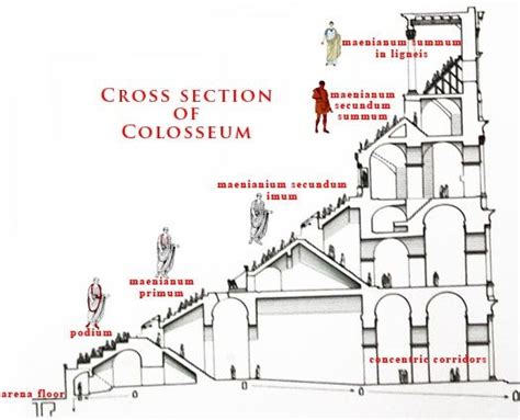 Colosseum Cross Section Roman House Colosseum Rome Ancient Rome