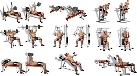 Five Best Chest Exercises To Make The Gym Jealous Of Your Pecs Multiple Fitness
