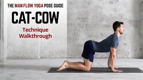 How To Do Cat Cow Pose Tutorial For Beginners Technique Walkthrough Youtube