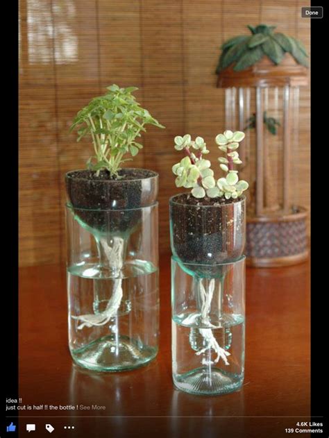 How to plant a bottle garden. Recycle soda bottles into plant holders | Self watering ...