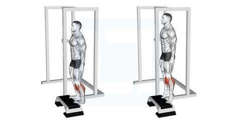 Elevated Standing Calf Raise Guide Benefits And Form