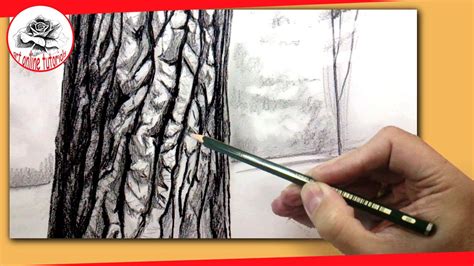 Realistic Tree Bark Texture Drawing