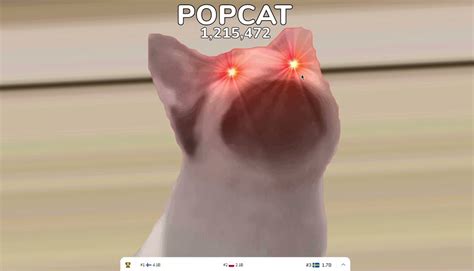 The Cat That Gone Viral Popcat Gemology Marketing
