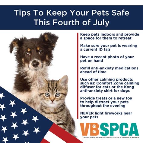 7 Tips To Keep Your Pets Safe This Fourth Of July Virginia Beach Spca