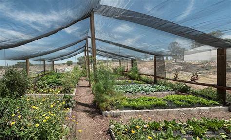 A Guide To Using Shade Cloth In Your Garden Commercial Netmakers